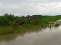 Река Кубань затопила дорогу Гулькевичи - Армавир