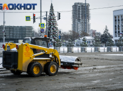Главное в Краснодаре: журналисты умирают, Японский сад без очередей, временный мэр ушёл, астролог раскрыла тайны