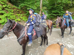 В Сочи ищут пропавшую в горах группу детей и взрослых