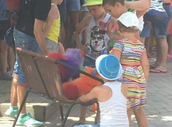 Крашеных собак в Анапе пожалели туристы