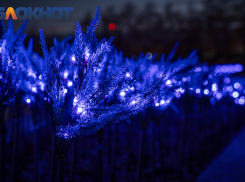 Краснодарские знаменитости в деле: Галицкий популярен в СМИ, Нетребко – в Дубае, а Лепс – среди олигархов