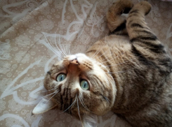 Гроза и кратковременный дождь ожидают кубанцев 30 июля 