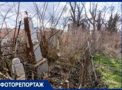 В Краснодаре разрушили и забросили могилы участников Великой Отечественной войны