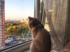 В Краснодарском крае потеплеет