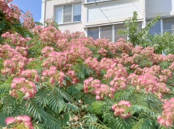 Актуальный Краснодар сегодня: Афанасьев день. Жарко. Общаемся с родственниками, наблюдаем за месяцем, едим икру и конфеты, играем в «Тетрис»