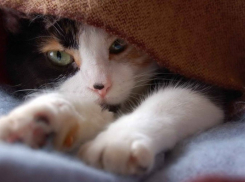  К дождю и снегу на Кубани прибавится еще и гололед 