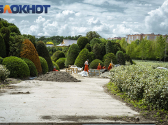 В парке Галицкого показали строительство Парка Облаков