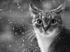 Милостей от погоды кубанцам ждать не стоит