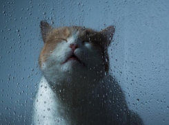 Синоптики прогнозируют в Краснодарском крае грозовые дожди