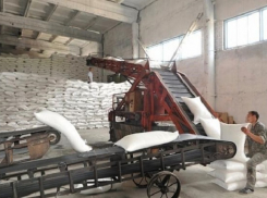 В Краснодарском крае произвели 300 тысяч тонн сахара