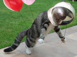 В День космонавтики на Кубани пасмурно, но тепло