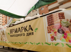 Традиционной ярмарки выходного дня в Краснодаре не будет 
