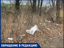 В Краснодаре дорогу к кладбищу засыпали мусором