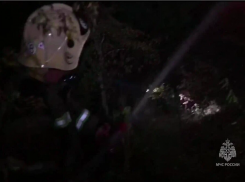 Местных жителей призвали присоединиться к тушению крупного пожара в Геленджике