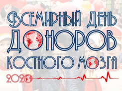 Краснодарский край лидирует по числу новых доноров костного мозга 