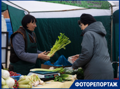 Гречишный мед, манговый зефир и язык в желе: что предлагает краснодарцам ярмарка выходного дня