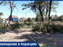 Краснодарцы боятся, что на месте дубовой рощи может появиться нежилое здание 