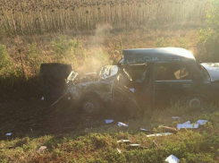  «Семерка» улетела в кювет на Кубани: погиб водитель 