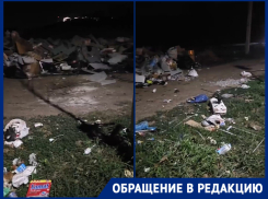 Жители краснодарского поселка гуляют среди мусорных куч и зарослей амброзии
