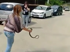 «Суровая сочинская женщина» показала, как нужно вести себя со змеями 