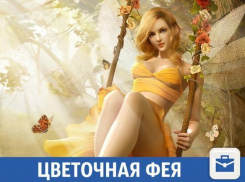 В Краснодаре ищут цветочную фею
