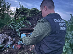 В Краснодарском крае спустя 20 лет нашли останки убитой девушки и задержали душегуба