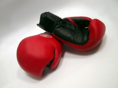 Федерация бокса в Краснодаре может потерять тренировочный зал