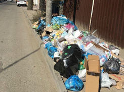 В Краснодаре таинственным образом пропали все мусорные контейнеры