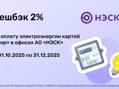 Оплата электроэнергии в АО «НЭСК» по карте «Мир» с выгодой