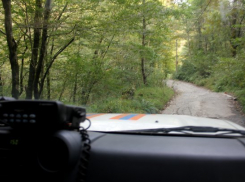  Приезжий из Брянска заблудился по дороге к горе Дураков в Сочи 