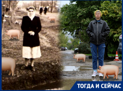 Свинячий хутор: от скотобойни на окраине Краснодара до центра миллионника