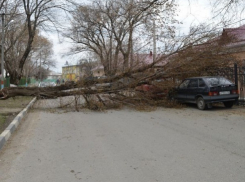 В Армавире ураганный ветер оборвал линии электропередач