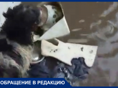 «Всё залито, вода в домах у людей»: жители Лабинска просят помощи при наводнении