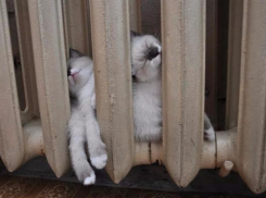 Погода на Кубани резко ухудшится