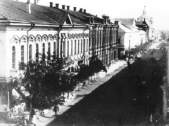 Кубанский календарь: Краснодар решили превратить в самый зеленый город страны 