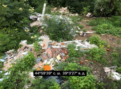 В Краснодаре превратили в зловонную свалку заповедник «Киргизские плавни»