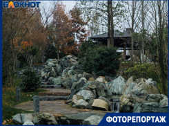 Японский сад в парке Галицкого встретил свою третью зиму без снега  