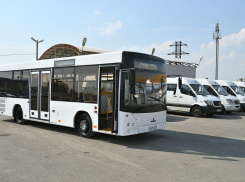 Новые автобусы без кондиционеров закупили для Краснодара