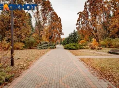 В Краснодаре волонтеры-поисковики разыскивают 3 человек