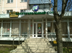 Тысячи пайщиков и миллиард ущерба: Гордон снимет программу про крупнейшую финансовую пирамиду в Краснодаре