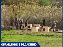 Краснодарцы взбунтовались против собачьего города в КМР