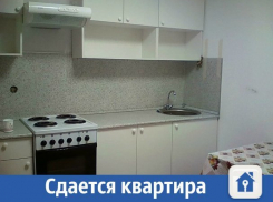 Квартира с ремонтом, техникой и мебелью сдается в Краснодаре