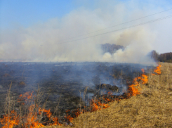 Из-за бытового мусора под Краснодаром загорелось поле