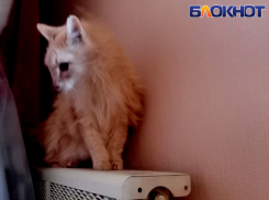 Краснодарцам рассказали, куда жаловаться на проблемы с отоплением