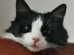 Налипание снега спрогнозировали в Краснодарском крае