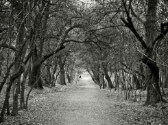 В новороссийской роще среди ночи обнаружили мертвого мужчину без крупной суммы денег