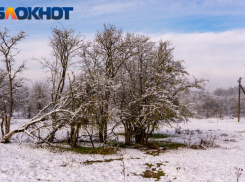 Естественный отбор? В Краснодаре, Ростове и Волгограде люди регулярно подвергают себя опасности на водоемах