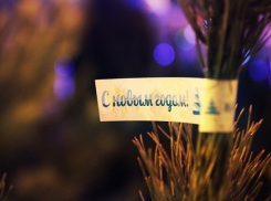 В Краснодаре откроется Рождественская ярмарка