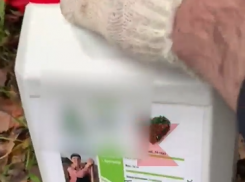 Жители Краснодарского края ищут себе пару с помощью объявлений на канистрах