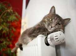 Новая рабочая неделя в Краснодаре начнется с ветра и дождя со снегом